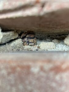 Severely corroded original wall tie exposed within the cavity wall